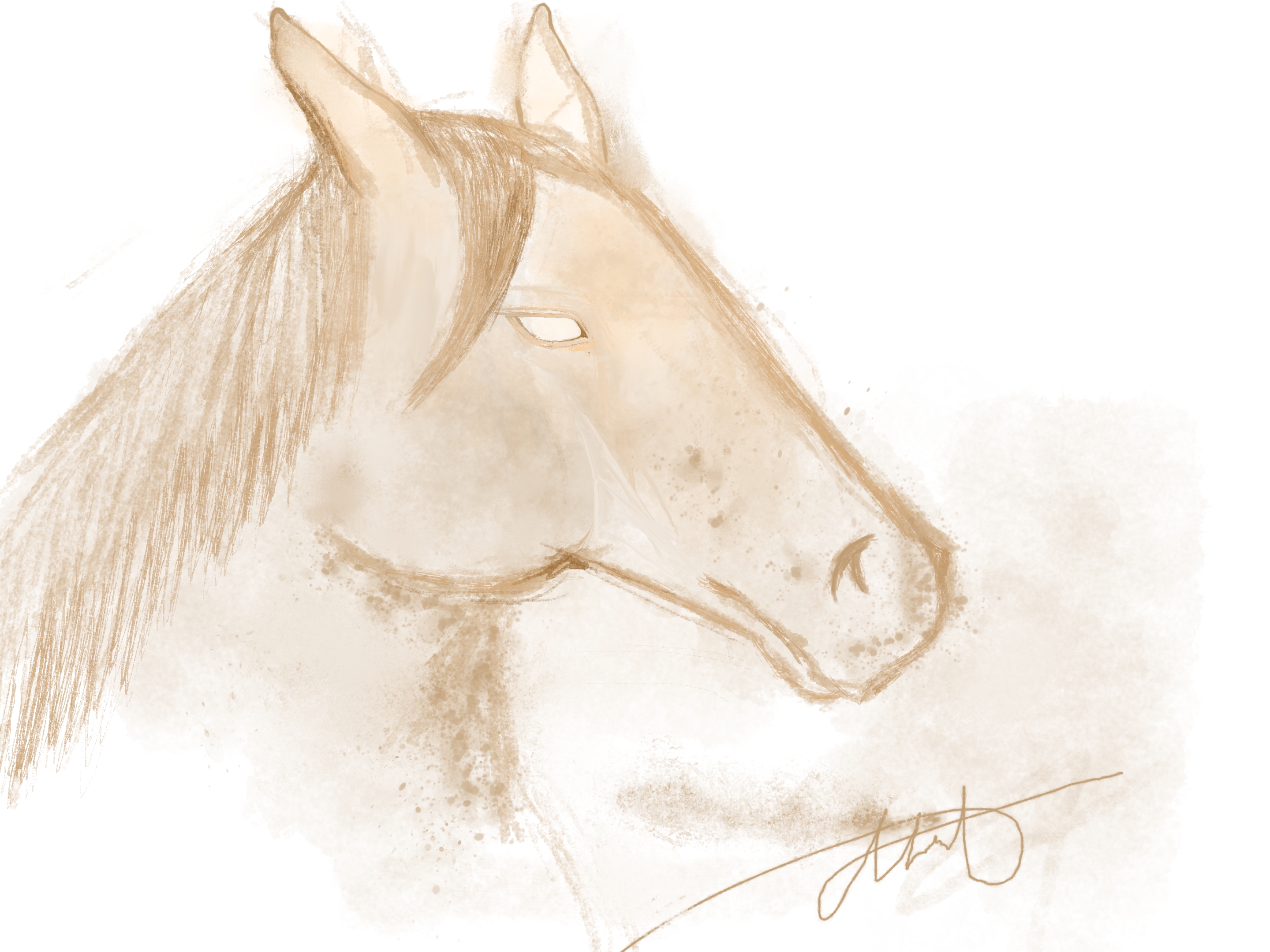 Original sepia horse portrait drawing by Ahmed Abdelaziz, showing a horse head, flowing mane, and hand-drawn signature.